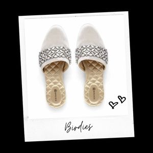 RARE 🕊 BIRDIES 🕊 Songbird Snow Crystal Slides
